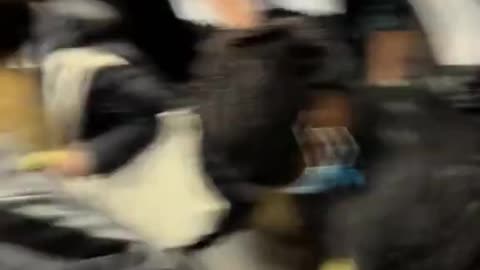 There are no English people on East London tube. Terrible.