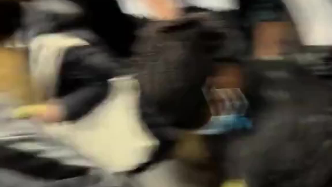 There are no English people on East London tube. Terrible.