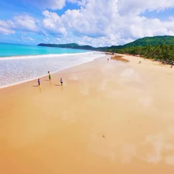 Sea vegetation beach between natural mountains video 2025 skc.com 43