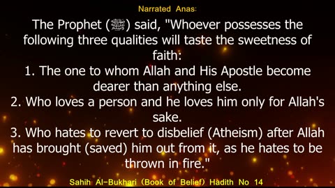 English Translation of Hadith 14 I Sahih Al-Bukhari I Book of Belief I Book # 2