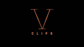 Synopsis of Jesus Christ