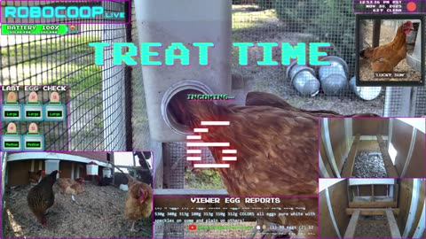 A Big Thank You from the Hens to @WorldofGaming for the Gifted Sub!!