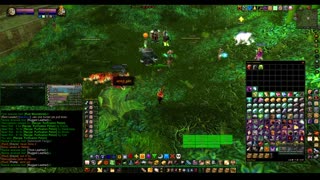 Turtle Wow - PUG ZG run - paladin POV