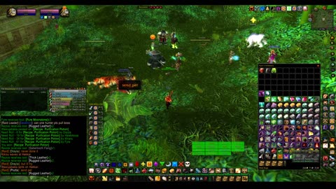 Turtle Wow - PUG ZG run - paladin POV