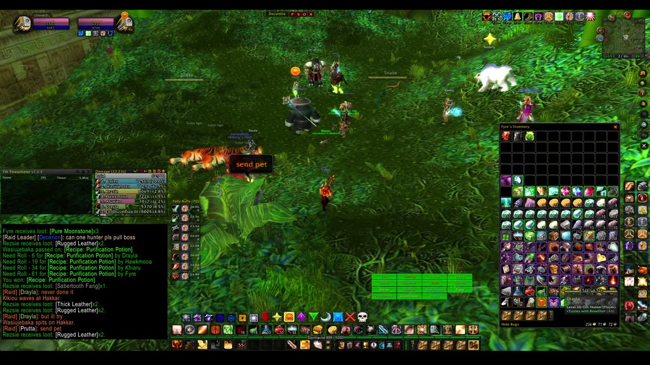 Turtle Wow - PUG ZG run - paladin POV