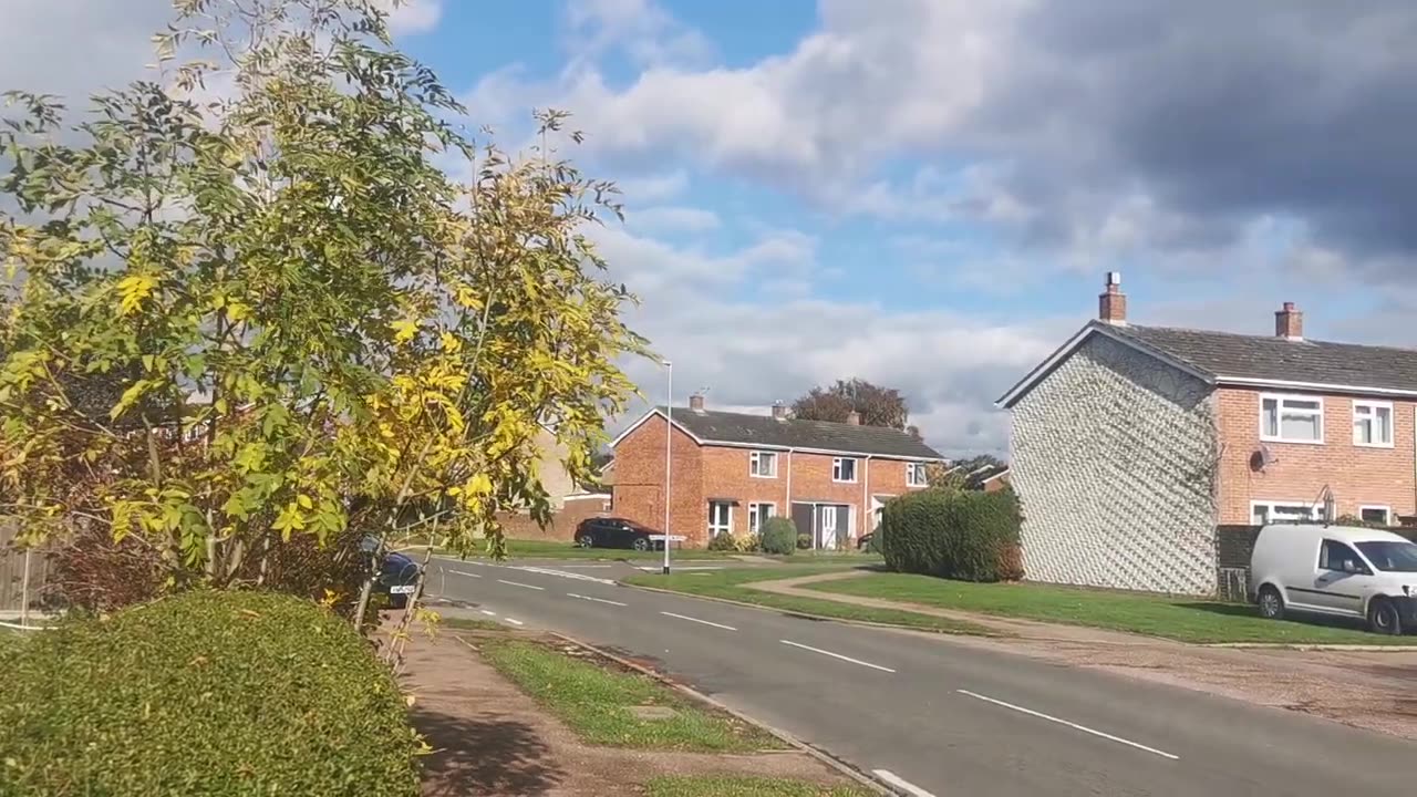 A Real Deadly Serial Killer Virus In Diss Norfolk UK Everyone is Infected