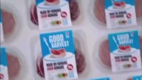 How do you solve the cost-of-living crisis with engineered human meat?”