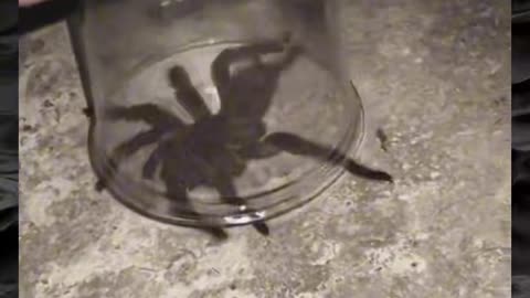 😱👻 You Won't Believe What They Caught on Camera! Creepy Paranormal Videos | TheHauntingHour