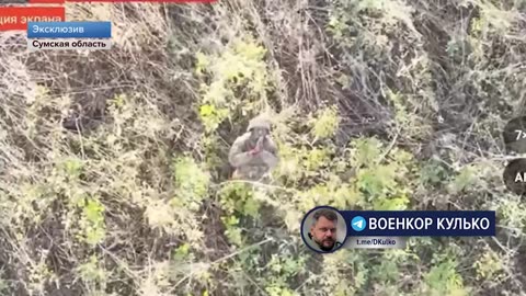 Ukraine war combat footage 10/4/25