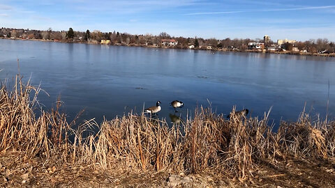 January 24, 2020 - A Beautiful Morning at Sloan's Lake