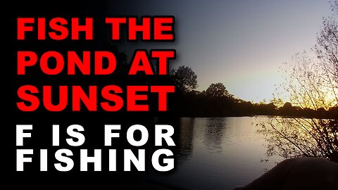 Fish The Pond At Sunset