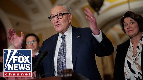 'SO RIDICULOUS': Schumer mocked for opposing voter ID