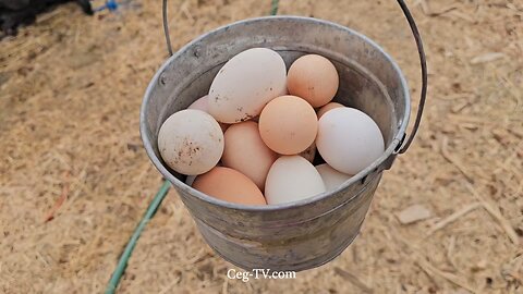 Graham Family Farm NW: 9:30 AM October 12 2025