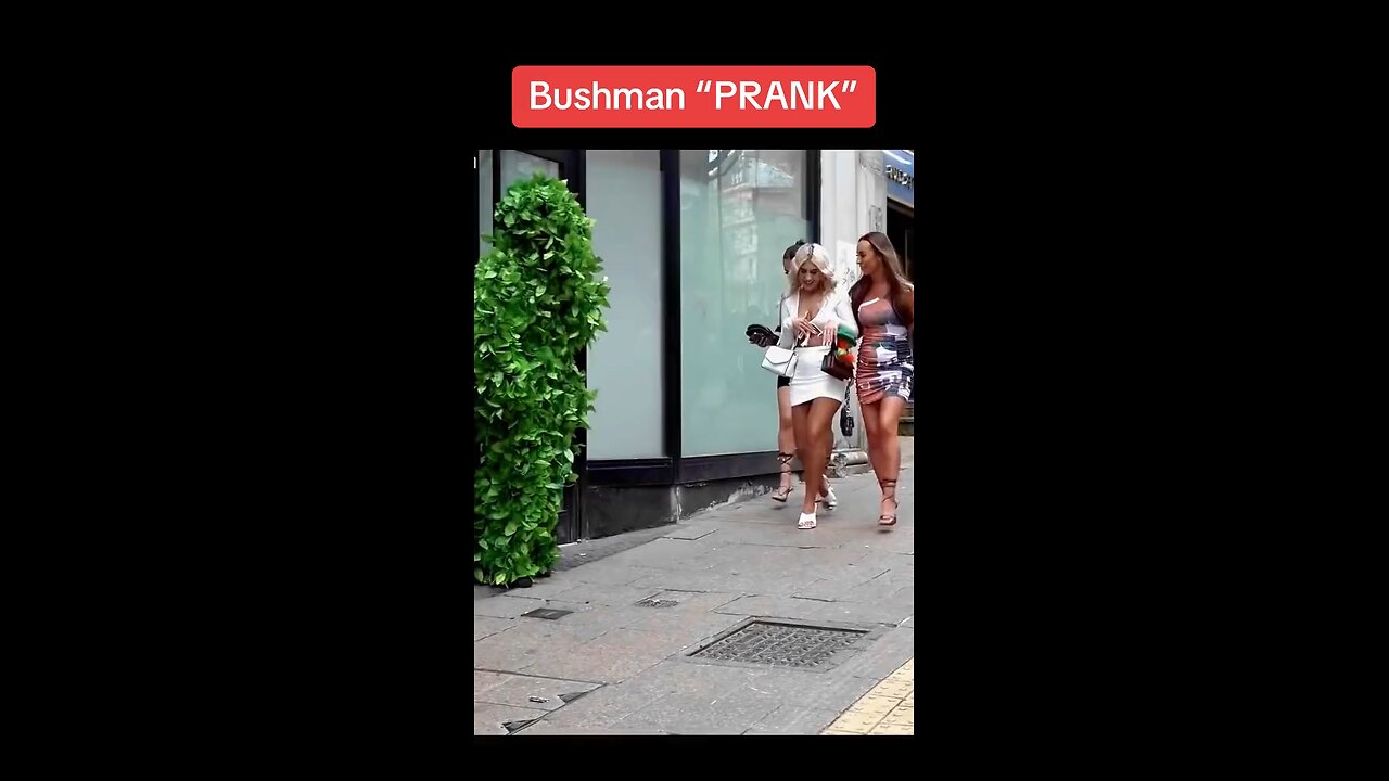 Bushman “PRANK”