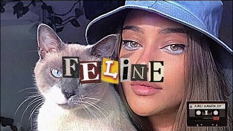 ✄┈ feline eyes luminal // powerful •