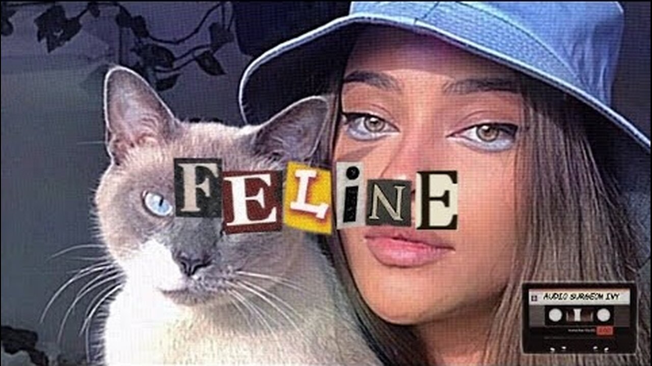 ✄┈ feline eyes luminal // powerful •