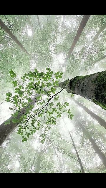 Beautifullrainyday🌧️🌧️ 😌😌