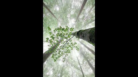 Beautifullrainyday🌧️🌧️ 😌😌