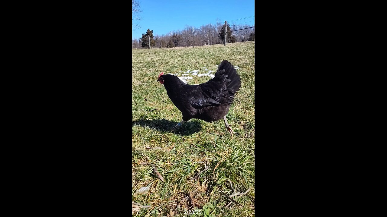Running to Sprocket.