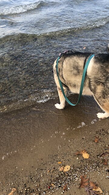 Friday October 24, You made all of the delicate inner parts of my body.