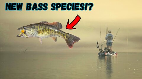 Catching a NEW Bass Species?