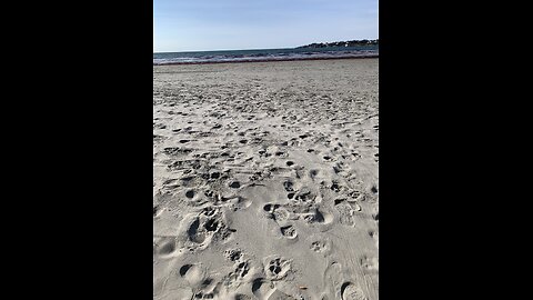 Thoughts on Fear and Illness, at the beach