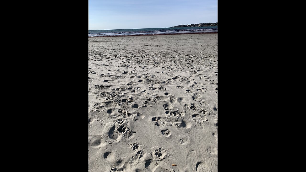 Thoughts on Fear and Illness, at the beach