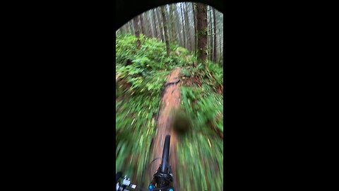 Wet Downhill MTB ride in Bellingham