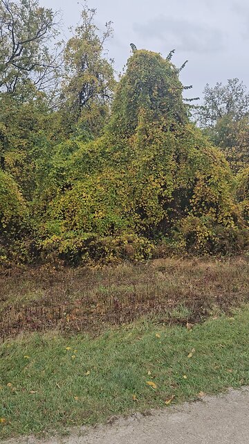 My Imagination Working Overtime