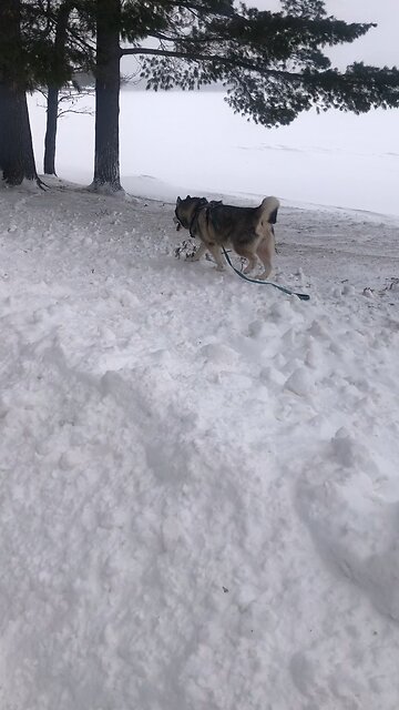 Wednesday January 28, Get all the advice and instruction you can.