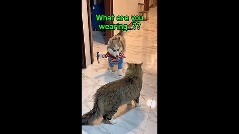 Wait, isn't Halloween today????