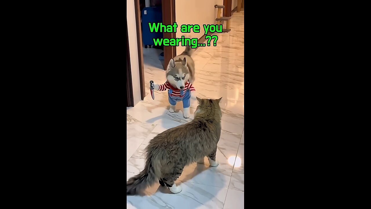 Wait, isn't Halloween today????