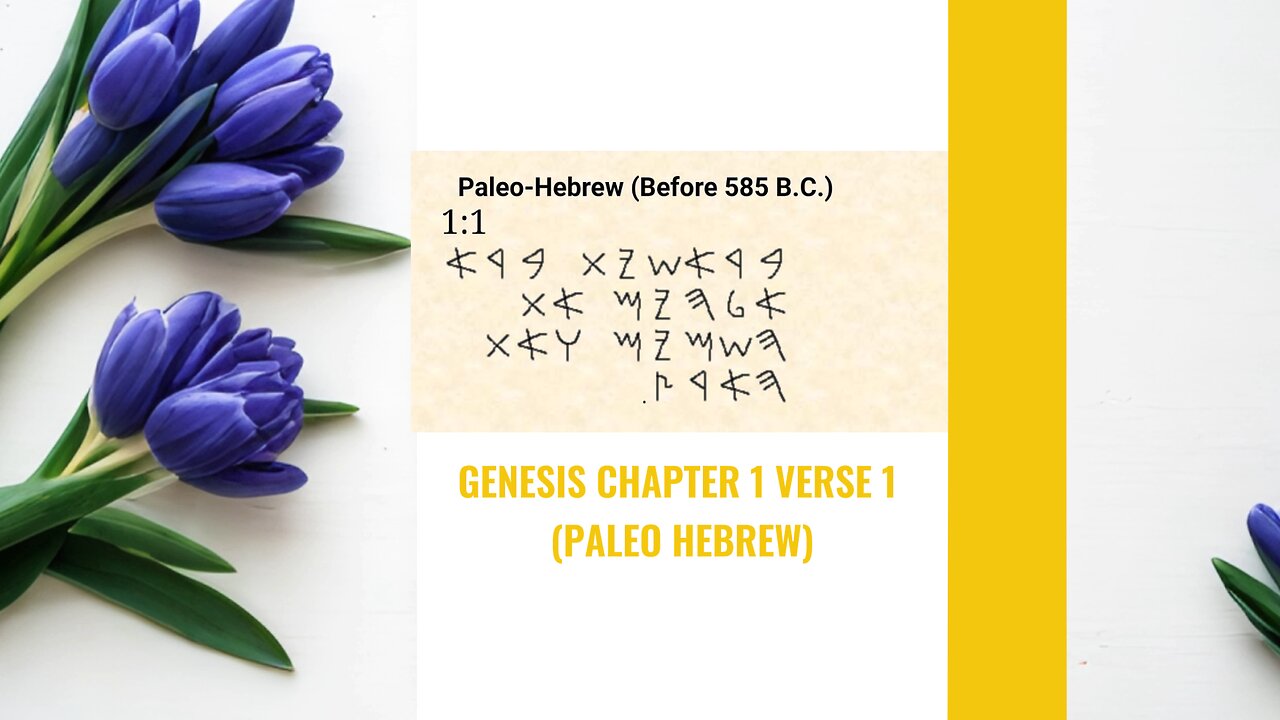Genesis Chapter 1 verse 1 (Part 1)