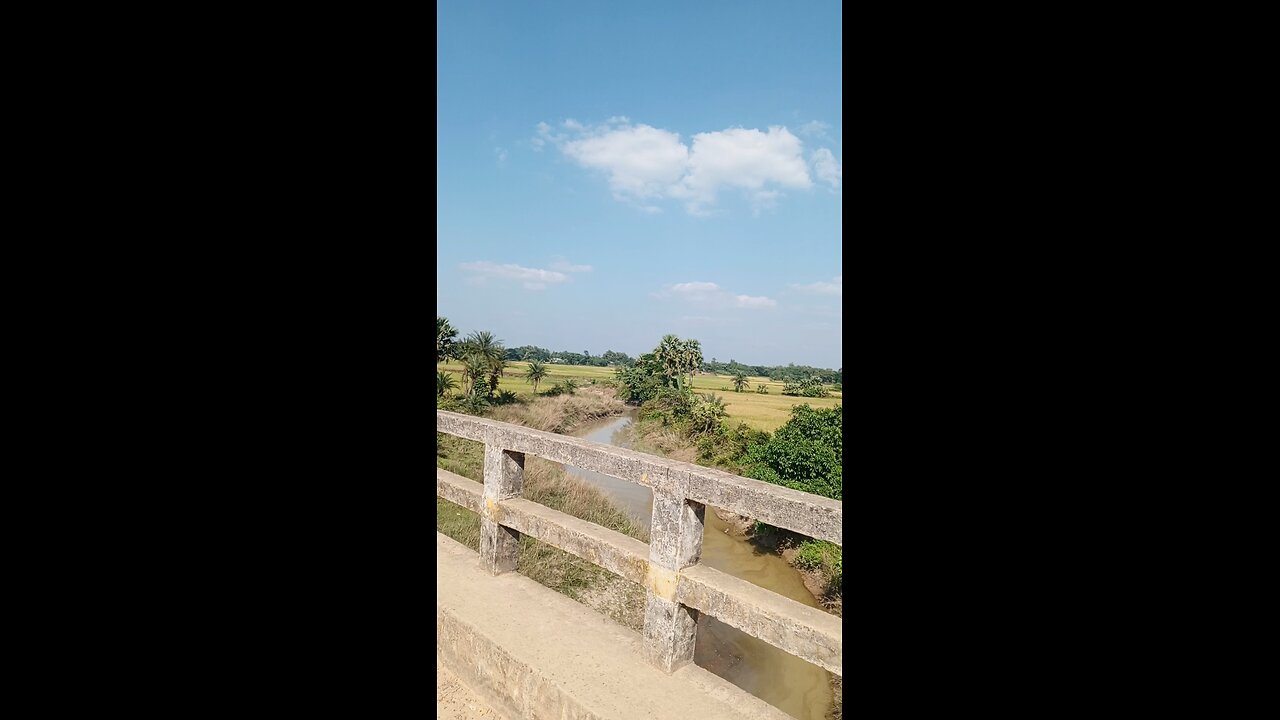সুন্দর গ্রামের ব্রিজ #viral