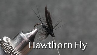 Hawthorn Fly: a trout fly from Favorite Flies and Their Histories (1892) by Mary Orvis Marbury