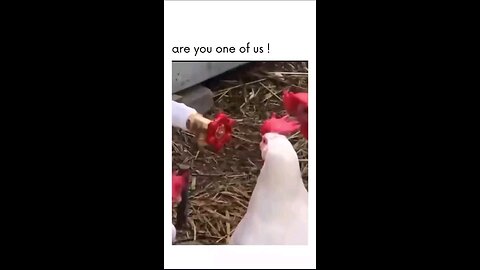 “When Life Gives You Funny Mood | Ultimate Meme Shorts” #FunnyMemes #MemeShorts #ViralVideo