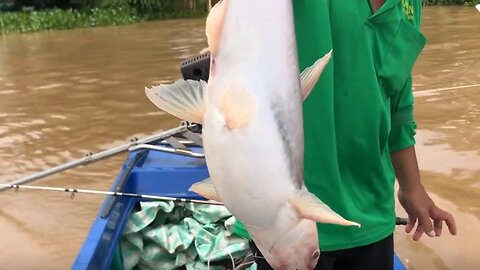 A catfish fishing trip near a floating house on the Mekong River