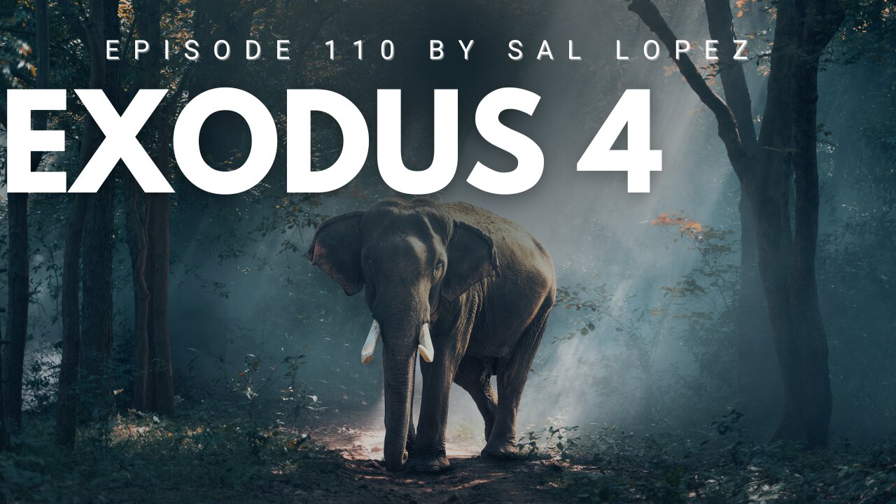 Exodus 4, ep. 110, Stepping into your divine calling!