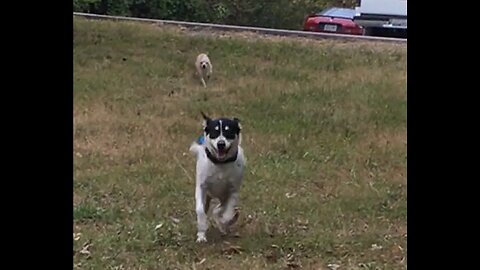 Bloo and Lucy Runs Up