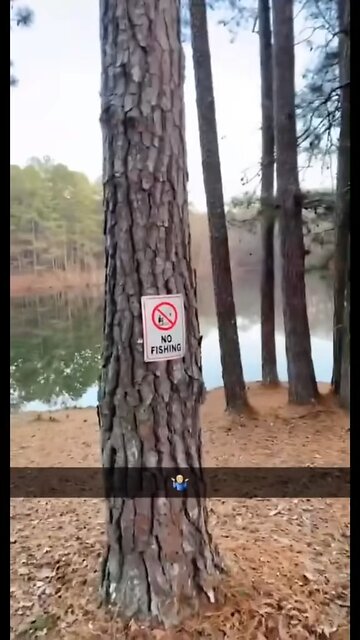 No sitting and fishing