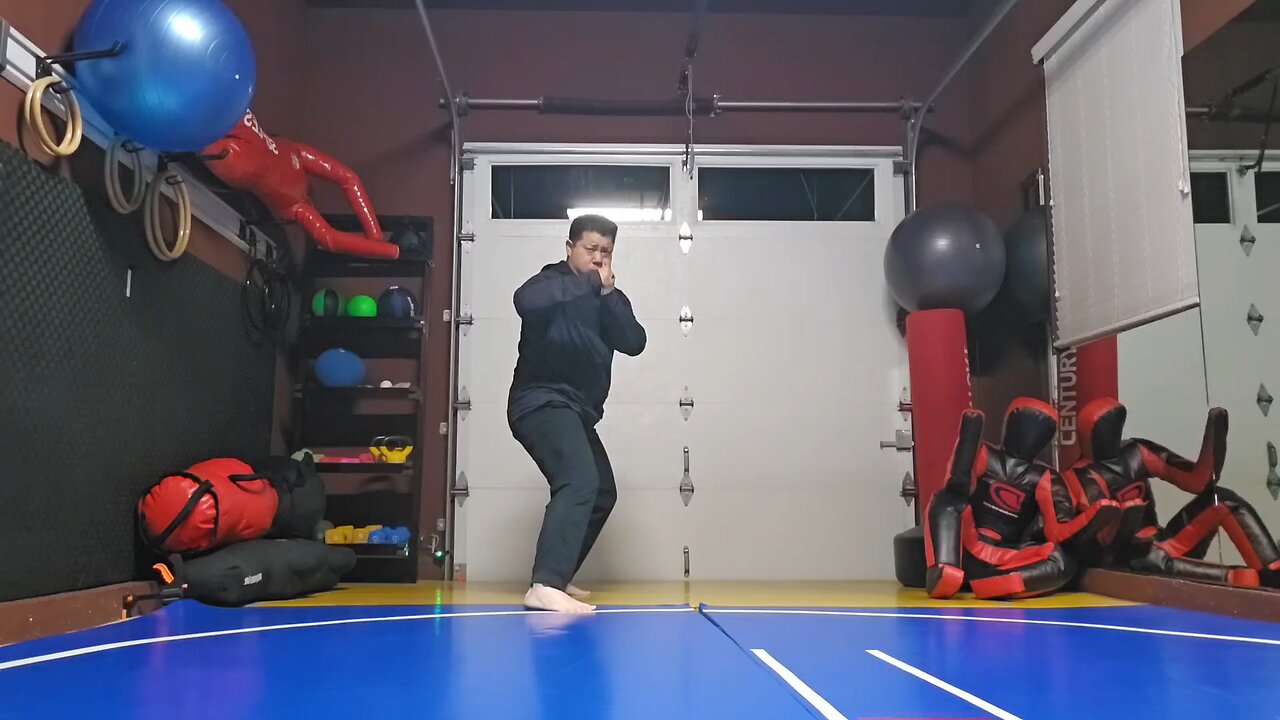 WTD Rear Hook Kick to Front Kick sequential