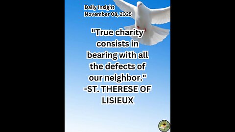 Daily Insight November 08, 2025 #faith #saint #insight