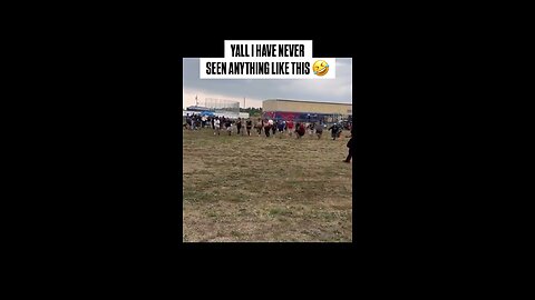 Have you seen anything like this before??