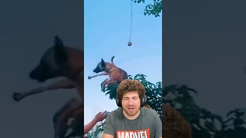 EL PERRO QUE VUELA!! vídeo reacción #Mikecrack #Shorts