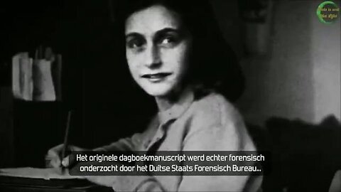 The writer of Anne Franks Diaries was Meyer Levine