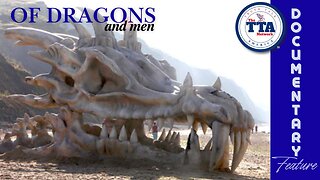 Documentary Feature: Of Dragons and Men