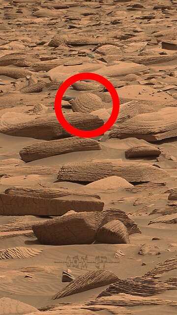 Som ET - 82 - Mars - Curiosity Sol 4155 - 3