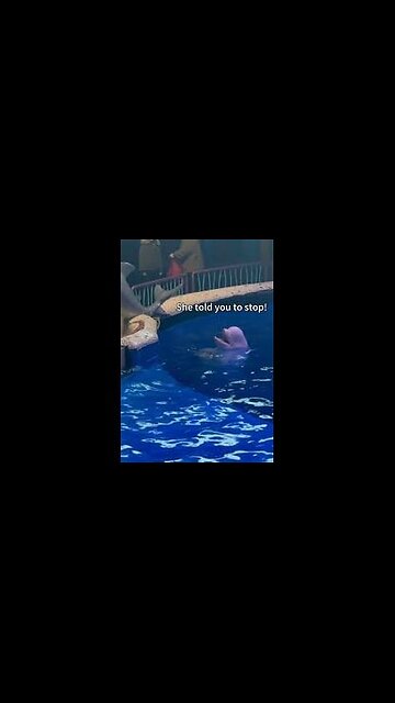 NO SMOKING 🚭 AT DALIAN OCEAN WORLD