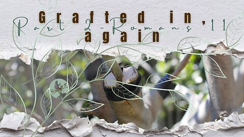 Grafted in again - Part 2 - Romans 11