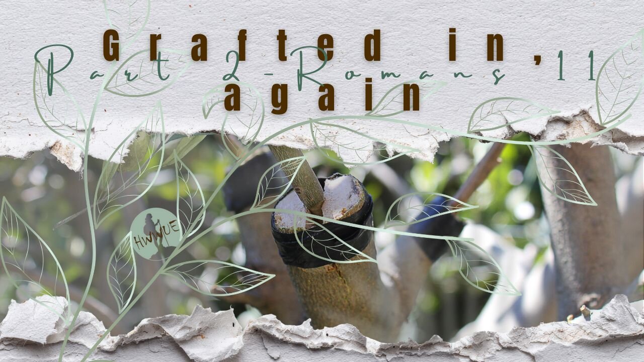 Grafted in again - Part 2 - Romans 11